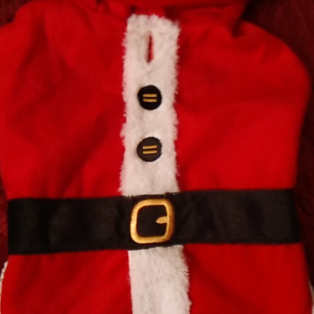 ❤️ Dog Holiday 🎅 Hoodie ❤️ - Picture 3 of 9